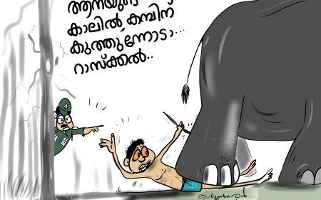 കാർട്ടൂൺ കോളം.