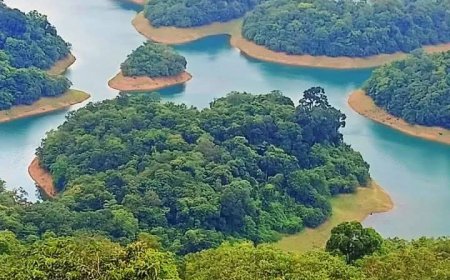 เดเดเตเดเตเดเดฟ.