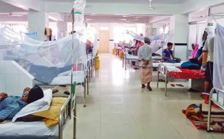 പനിച്ചു വിറച്ച് മലയോര മേഖല