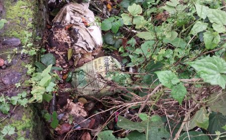 നെടുങ്കണ്ടം ഉമ്മാക്കടയിൽ മാലിന്യകൂമ്പാരം: നാട്ടുകാർ ആശങ്കയിൽ