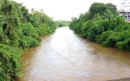 അപകടകരമായ രീതിയിലെ ജലനിരപ്പ് ഉയരുന്നു; അച്ചൻകോവിലില്‍ യെല്ലോ അലര്‍ട്ട്