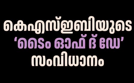 കെഎസ്ഇബിയിൽ TOD( ടൈംസ് ഓഫ് ദ ഡേ) സംവിധാനം