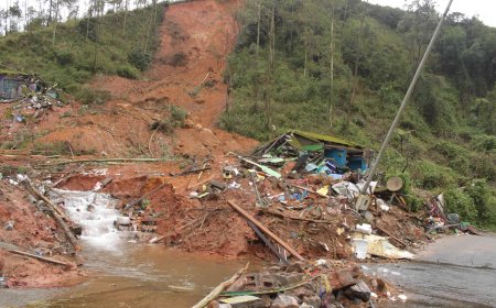ഇടുക്കി,വയനാട് ജില്ലകളിൽ ദുരന്തനിവാരണത്തിനായി  പുതിയ ഡെപ്യൂട്ടി കളക്ടർ തസ്തിക വരുന്നു...