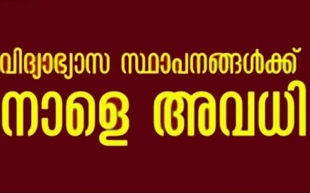 മഴ - നാളെ 3 ജില്ലകളിൽ അവധി