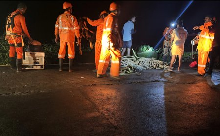 വാഗമൺ, ചാത്തൻപാറ വ്യൂ പോയിൻറിൽ കൊക്കയിൽ വീണ് ഒരു മരണം.