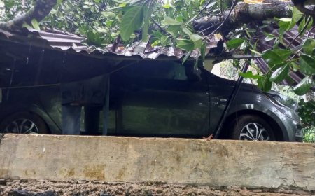 നെടുംകുന്നത്ത് ശക്തമായ മഴ; കനത്ത നാശനഷ്ടം