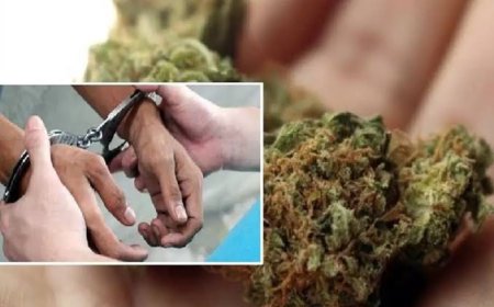 കാറില്‍ കടത്തിക്കൊണ്ട് വന്ന ആറര കിലോ ഉണക്ക കഞ്ചാവുമായി സ്വകാര്യ ബസ് ചെക്കറെ എക്സൈസ് സംഘം അറസ്റ്റ് ചെയ്തു