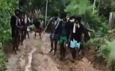 വാഹന സൗകര്യമില്ല : വട്ടവടയില്‍ പരിക്കേറ്റ ആദിവാസി സ്ത്രീയെ ചികിത്സയ്ക്കായി ചുമന്ന് കൊണ്ടുപോയത് 5 കിലോമീറ്ററിൽ അധികം