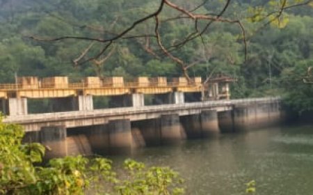 ഇടുക്കി പനംകൂട്ടി പാമ്പ്ല ഡാമിനുള്ളിൽ    കണ്ടെത്തിയ മൃതദേഹം ബന്ധുക്കൾ തിരിച്ചറിഞ്ഞു