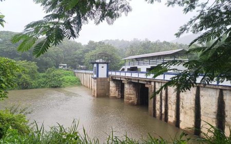 മഴക്കാലം സജീവം : നിറഞ്ഞു കവിഞ്ഞ് ജലാശയങ്ങൾ