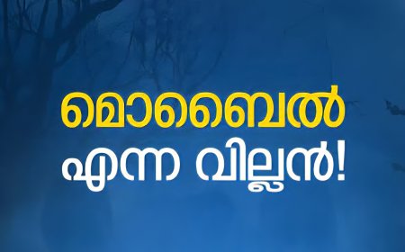 മൊബൈൽ കൊലപ്പെടുത്തിയ കുരുന്ന്: വാർത്തയ്ക്ക് അപ്പുറം... മനസ്സാക്ഷിയെ ഞെട്ടിച്ച കണ്ണീർ കഥ
