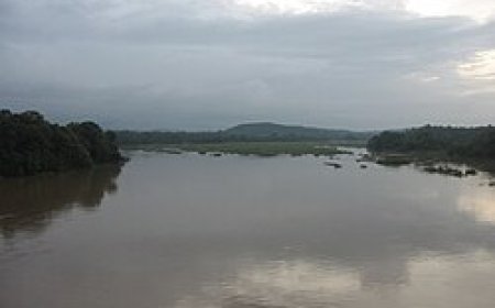 യുവാവ് ഒഴുക്കിൽ പെട്ടു