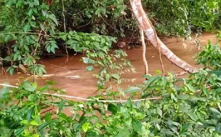 മലപ്പുറം വേങ്ങരയില്‍ കുളിക്കാന്‍ ഇറങ്ങിയ വിദ്യാര്‍ത്ഥി ഷോക്കേറ്റ് മരിച്ചു.