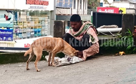 അന്നമല്ലേ..വിശന്നാൽ എൻ്റെയും നിൻ്റെയും ഉള്ളൊരുപോലെ
