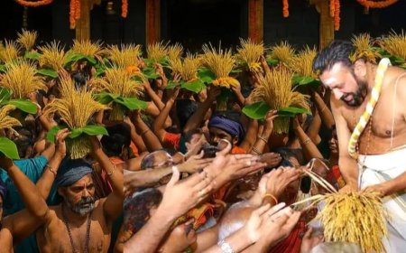 ശബരിമലയിൽ നാളെ നിറപുത്തരി സമർപ്പണം; അച്ചൻകോവിൽ നിന്നുള്ള കതിർകറ്റകൾ അയ്യപ്പന് അർപ്പിക്കും