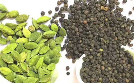 ഏലം, കുരുമുളക് വിലകളില്‍  ഉയർച്ച; നഷ്ടം മറികടക്കാനാകുമെന്ന് പ്രതീക്ഷയിൽ കര്‍ഷകര്‍