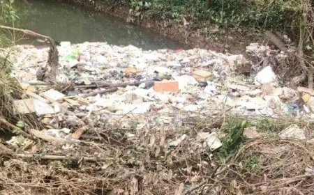 തൊടുപുഴയാറില്‍ വൻതോതില്‍ മാലിന്യം