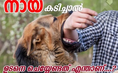 เดจเดพเดฏ เดเดเดฟเดเตเดเดพเตฝ...