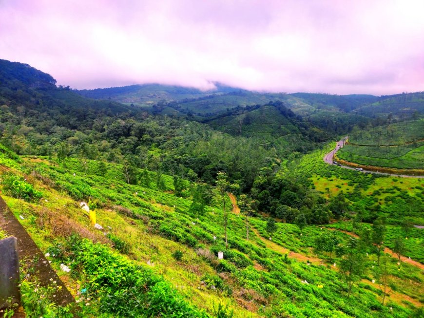 സഞ്ചാരികളെ ആകർഷിക്കുന്ന ഏലപ്പാറ വ്യൂ പോയിന്റ്