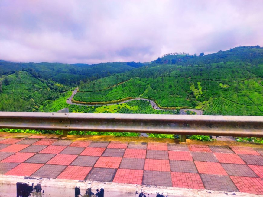 സഞ്ചാരികളെ ആകർഷിക്കുന്ന ഏലപ്പാറ വ്യൂ പോയിന്റ്