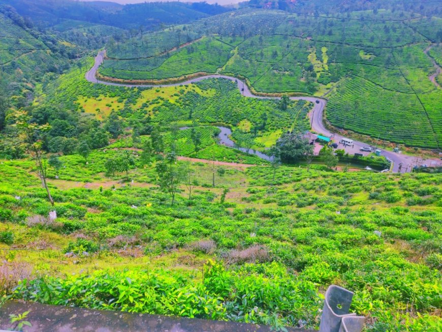സഞ്ചാരികളെ ആകർഷിക്കുന്ന ഏലപ്പാറ വ്യൂ പോയിന്റ്