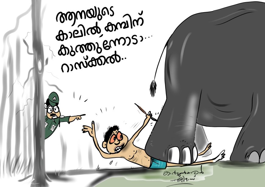 കാർട്ടൂൺ കോളം.
