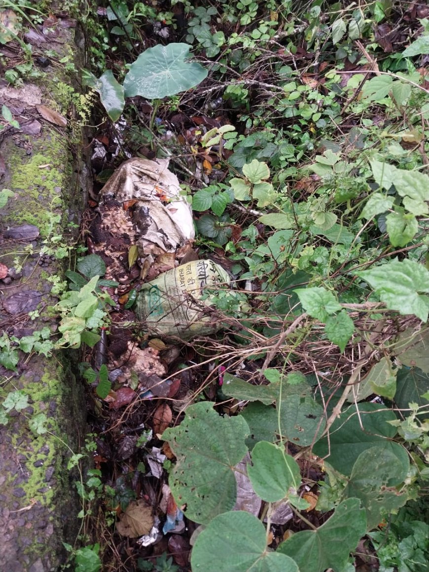 നെടുങ്കണ്ടം ഉമ്മാക്കടയിൽ മാലിന്യകൂമ്പാരം: നാട്ടുകാർ ആശങ്കയിൽ