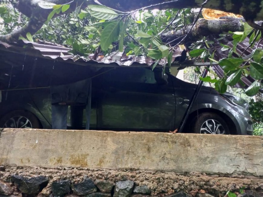 നെടുംകുന്നത്ത് ശക്തമായ മഴ; കനത്ത നാശനഷ്ടം