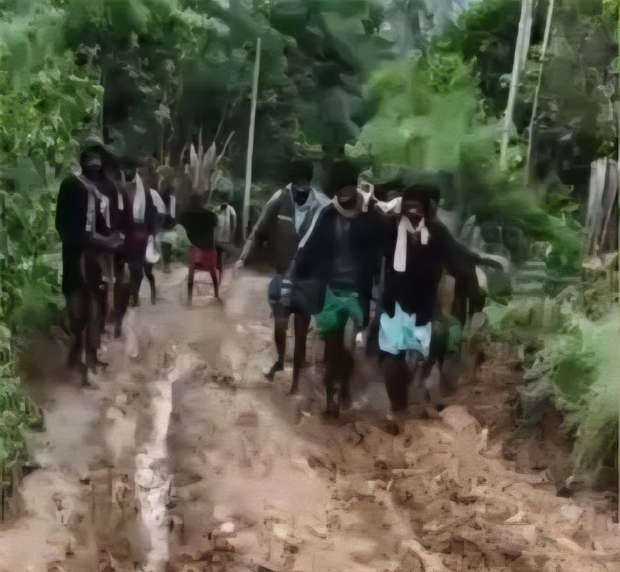 വാഹന സൗകര്യമില്ല : വട്ടവടയില്‍ പരിക്കേറ്റ ആദിവാസി സ്ത്രീയെ ചികിത്സയ്ക്കായി ചുമന്ന് കൊണ്ടുപോയത് 5 കിലോമീറ്ററിൽ അധികം