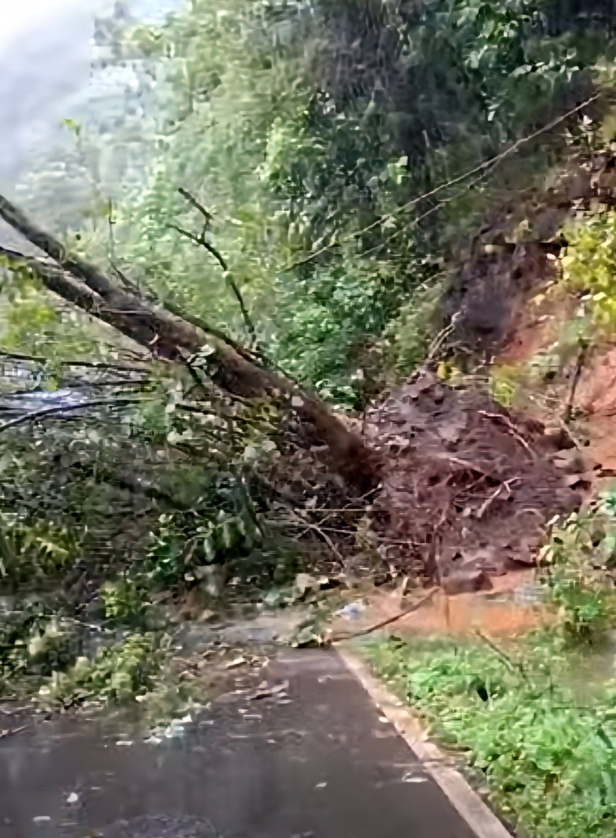 കട്ടപ്പന ചെറുതോണി റൂട്ടിൽ മണ്ണിടിഞ്ഞ് വാഹന ഗതാഗതം തടസപ്പെട്ടു