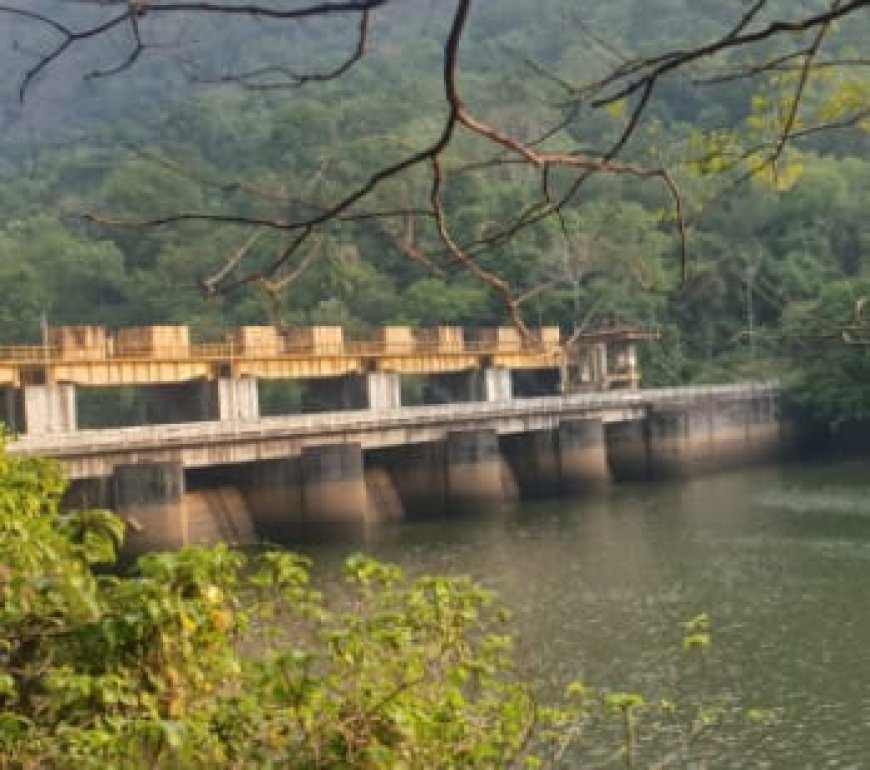 ഇടുക്കി പനംകൂട്ടി പാമ്പ്ല ഡാമിനുള്ളിൽ കണ്ടെത്തിയ മൃതദേഹം ബന്ധുക്കൾ തിരിച്ചറിഞ്ഞു