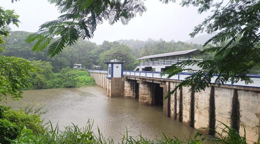 മഴക്കാലം സജീവം : നിറഞ്ഞു കവിഞ്ഞ് ജലാശയങ്ങൾ