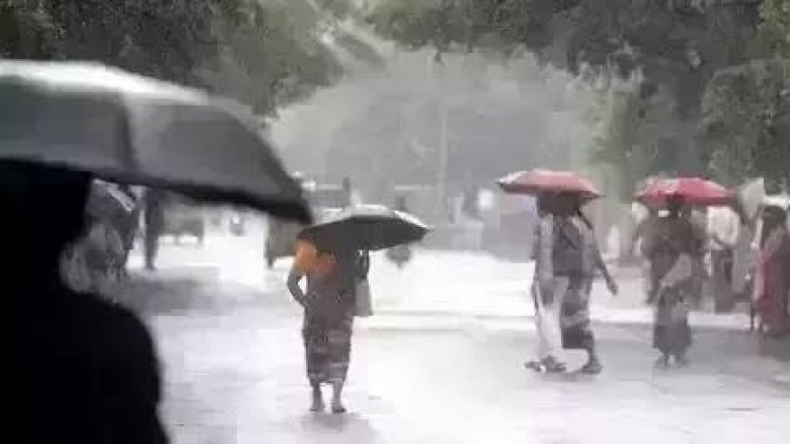 മഴ അതിതീവ്രമാകുന്നു ;പ്രളയസാധ്യതാ മുന്നറിയിപ്പ് ,മൂന്ന് ജില്ലകളില് റെഡ് അലര്ട്ട്;