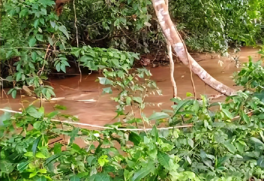 മലപ്പുറം വേങ്ങരയില് കുളിക്കാന് ഇറങ്ങിയ വിദ്യാര്ത്ഥി ഷോക്കേറ്റ് മരിച്ചു.