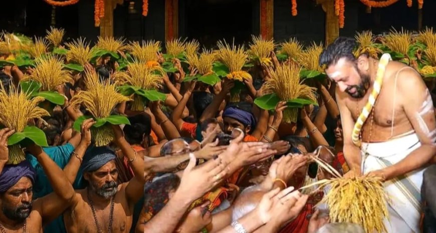 ശബരിമലയിൽ നാളെ നിറപുത്തരി സമർപ്പണം; അച്ചൻകോവിൽ നിന്നുള്ള കതിർകറ്റകൾ അയ്യപ്പന് അർപ്പിക്കും