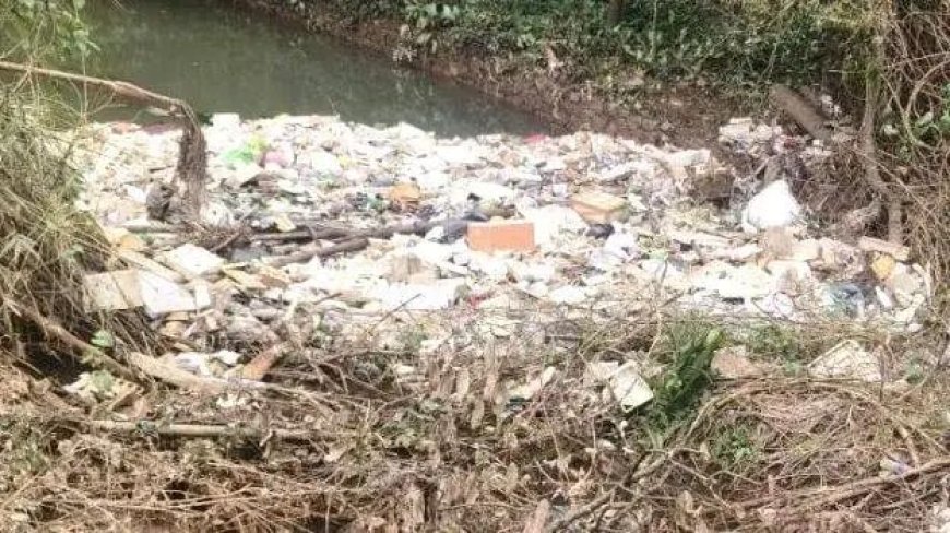 തൊടുപുഴയാറില് വൻതോതില് മാലിന്യം
