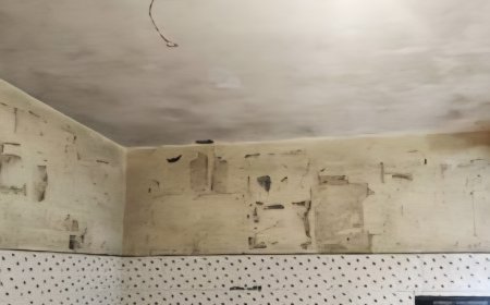 പൊതുസ്ഥലത്ത് പോസ്റ്റർ ഒട്ടിച്ചാൽ പിഴ; കരിമണ്ണൂരിൽ നടപടി