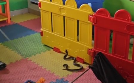 അങ്കണവാടിയിൽ മൂർഖൻ , തലനാരിഴയ്ക്ക് രക്ഷപ്പെട്ട് അധ്യാപിക