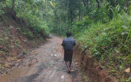 ഈട്ടിത്തോപ്പ്–തൂവൽ റോഡ് നവീകരണത്തിന് 5 കോടി