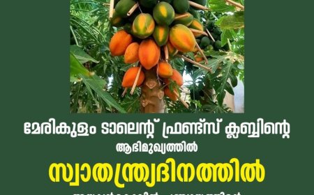 സ്വാതന്ത്ര്യദിനത്തിൽ മേരികുളം ടാലന്റ് ഫ്രണ്ട്സ് ക്ലബ്ബിന്റെ ഹരിതസമ്മാനം