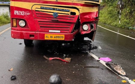 ഏലപ്പാറ ചിന്നാർ മൂന്നാംമൈലിൽ  അപകടം