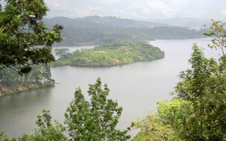 ആനയിറങ്കല്‍ ജലാശയത്തില്‍ വള്ളം മറിഞ്ഞ് അപകടം; ഒരാളെ കാണാതായി