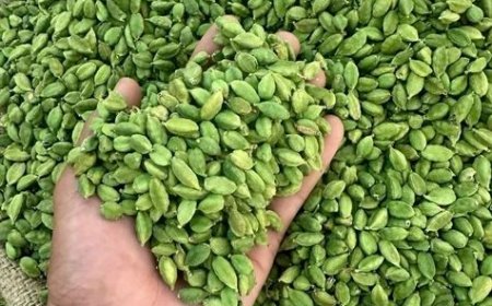 ഉണക്ക്‌ കുറഞ്ഞ ഏലക്കാ വിപണിയിലെത്തുന്ന സംഭവത്തില്‍ പരിശോധന കര്‍ശനമാക്കാന്‍ നിര്‍ദേശം.