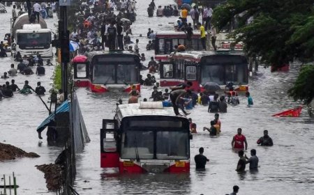 മഹാരാഷ്ട്രയില്‍ പേമാരി; മുംബൈയിൽ രണ്ട് മരണം, പ്രളയഭീതിയിൽ മഹാനഗരം