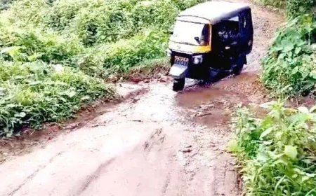 ഉപ്പുതറ പത്തേക്കർ -വട്ടപ്പാറ നിവാസികളുടെ സ്വപ്നമായി റോഡ് : യാഥാർഥ്യമാക്കാൻ നടപടിയില്ല