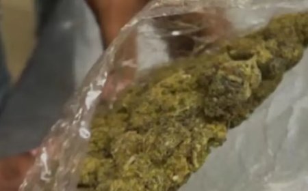 കട്ടപ്പന നരിയംപാറയിൽ കഞ്ചാവുമായി യുവാവ് പിടിയിൽ