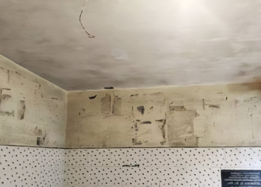 പൊതുസ്ഥലത്ത് പോസ്റ്റർ ഒട്ടിച്ചാൽ പിഴ; കരിമണ്ണൂരിൽ നടപടി