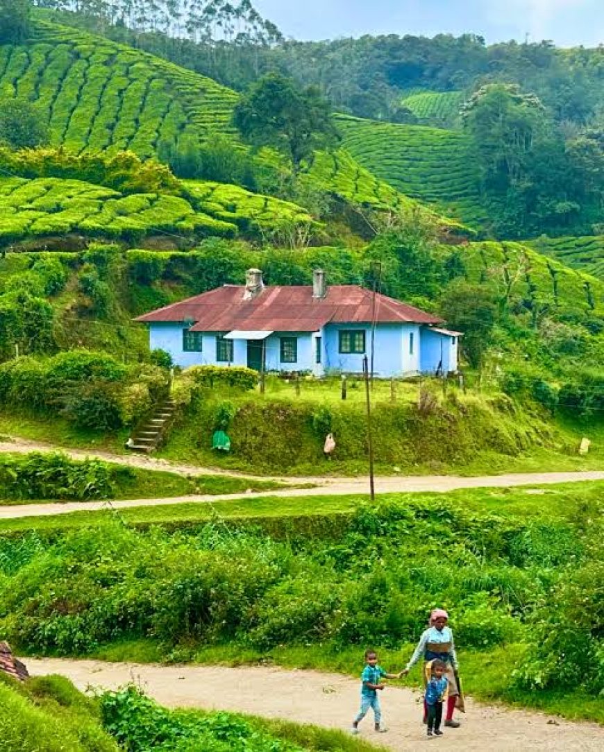 മാങ്ങാപ്പാറകുടി കോളനിയിലെ കുട്ടികള്ക്ക് വിദ്യാഭ്യാസം ലഭിക്കുന്നില്ല എന്ന പരാതിയില് മനുഷ്യാവകാശ കമ്മീഷന് റിപ്പോര്ട്ട് ആവശ്യപ്പെട്ടു