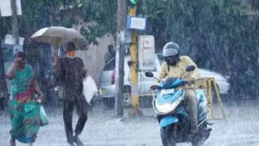 മഴ കനക്കും : ജില്ലയിൽ ഇന്നും ഓറഞ്ച് അലർട്ട്