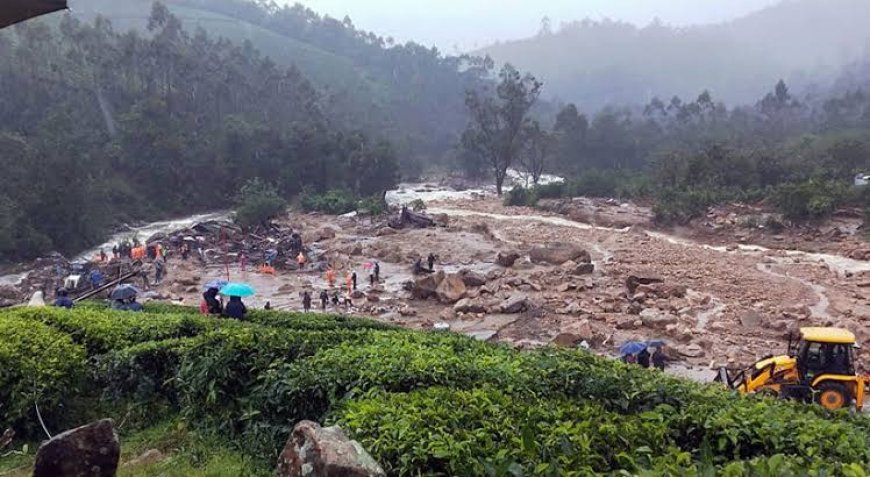നോവായി മാറിയ പെട്ടിമുടി ദുരന്തത്തിൻ്റെ അഞ്ചാണ്ട്